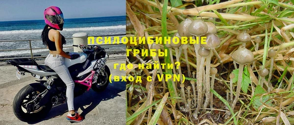 амф Алзамай