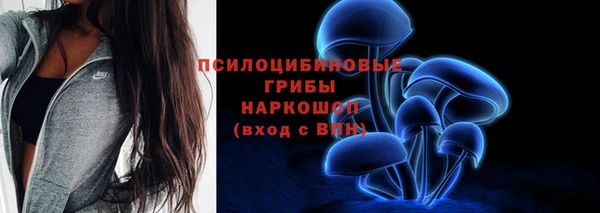 прущая мука Армянск