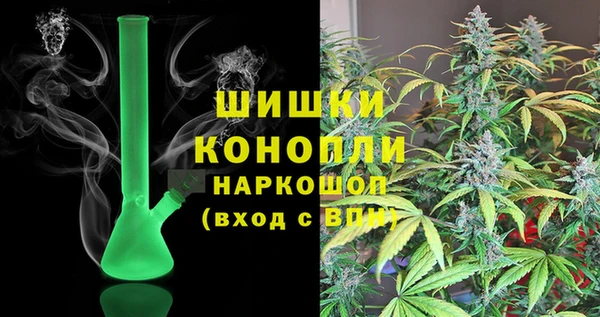 гидра Аркадак